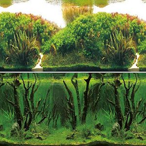 Фон Laguna «Зеленые холмы/Подводный лес», 0,4×15 м