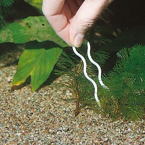 JBL Пластиковые &laquo;шпильки&raquo; для закрепления растений в&nbsp;грунте, 12&nbsp;шт