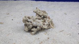 Камень сухой рифовый S, до&nbsp;10&nbsp;см, 200&minus;300&nbsp;г