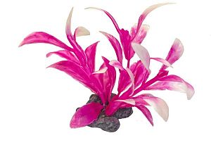 Растение пластиковое мини Tetra DecoArt Plant XS M Pink Refil розовое, 6 см, 6 шт.