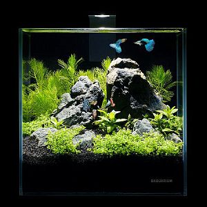 Аквариумный набор AquaLighter «Pico Set», 5 л