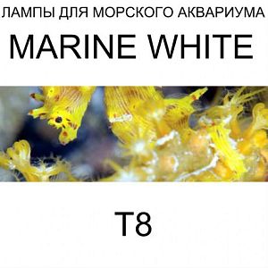 Лампа флуоресцентная Arcadia Т8 Marine White 14 000 K 18 Вт, 600 мм