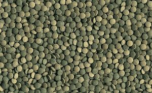 TetraPlecoTablets основной корм для сомиков и «водорослеедов» со спирулиной, таблетки 275 шт.