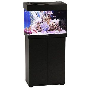 Аквариум Псевдоморе с тумбой STELLEX AQUA 60, 60 л, 56х32×118 см