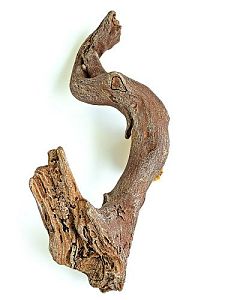 Кор «Б» Коряга «Булова», 62*23*25 см