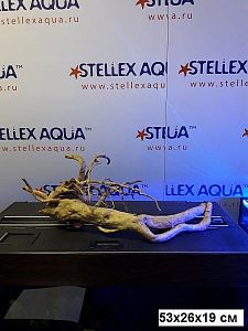 Коряга Aquael DRIFTWOOD M&nbsp;натуральная ветвистая, размер &laquo;M&raquo;, 30&minus;43&nbsp;см