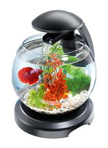Tetra Cascade Globe аквариум круглый, черный, 6,8&nbsp;л