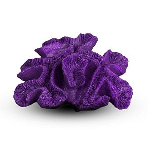 Коралл Мозговик Фиолетовый 20х16×9 см