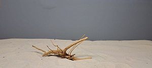 Коряга Сакура мини, до&nbsp;10&nbsp;см