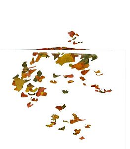 TetraRubin корм для яркого окраса аквариумных рыб, хлопья 12&nbsp;г