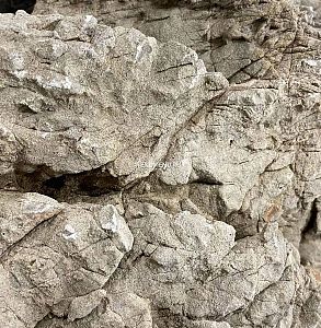 Камень GLOXY «Слоновья кожа» вес камня 500−1000 г, 5−15 см цена за 1 шт