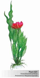 Пластиковое растение Barbus Апоногетон мадагаскарский 30 см