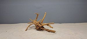 Коряга Сакура S, 15&minus;25&nbsp;см