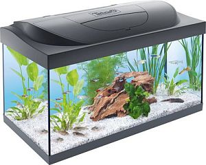 Аквариум Tetra Starter Line LED, 54 л