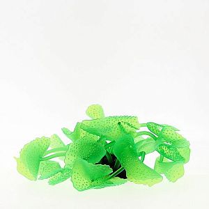 Коралл VITALITY силикон, зеленый, 5,5×5,5×12 см