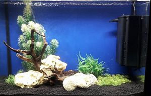 Фон Синий Матовый с&nbsp;клеевой основой, цена за&nbsp;погонный метр