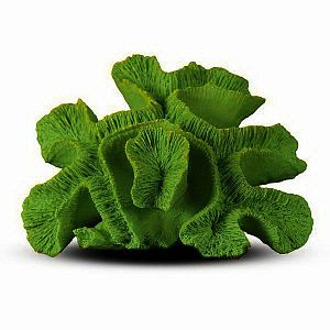 Коралл Мозговик Зелено-желтый 20×16×9 см