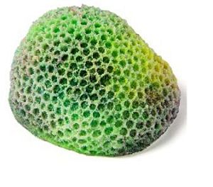 Кс-1947&nbsp;Мозговик (зелёный), 5.5*4.5*3.5&nbsp;см