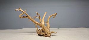 Коряга Сакура М, 30&minus;40&nbsp;см