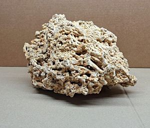 Камень Сухой морской, цена за&nbsp;1&nbsp;кг