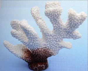 Коралл VITALITY пластик, белый, 13х5×11,5 см