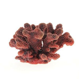 Коралл VITALITY мягкий, пластик, перламутр, 24x21×13,5 см