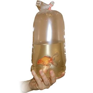 Пакеты полиэтиленовые Аква Меню для перевозки рыб, шириной 18&nbsp;см, 3&nbsp;л, 50&nbsp;шт.