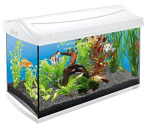 Tetra AquaArt аквариумный комплект, белый, 60 л