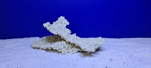 Камень Рифовый Белый, 27х14х12 см, 749 г