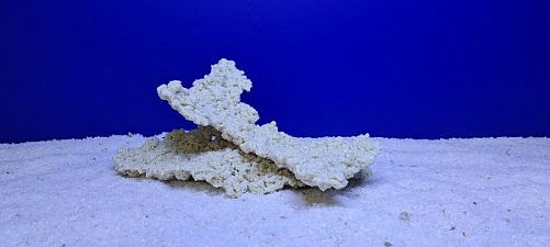 Камень Рифовый Белый, 27х14х12 см