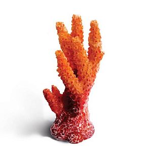 Коралл Laguna искусственный «Синулярия мини», 30х25×62 мм