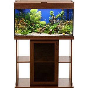 Аквариум LUX П120&nbsp;прямой, с&nbsp;крышкой и&nbsp;светильником Т8 2&times;18&nbsp;Вт, орех, 120&nbsp;л