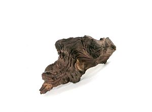 Декорация Repti Planet коряга XS&nbsp;для террариума, 19&minus;23&nbsp;см