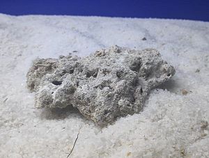 Камень сухой рифовый, плоский, 1&nbsp;кг