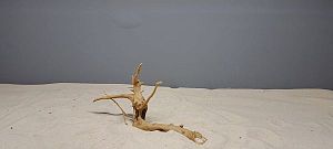 Коряга Сакура мини, до&nbsp;10&nbsp;см