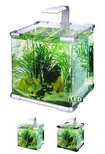 Аквариум Hailea прямоугольный, 10&nbsp;л, 22,7&times;22,7&times;23,2&nbsp;см, серебряный