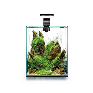 Aквариум Aquael SHRIMP SET SMART LED DAY&NIGHT 20 черный, 19 л