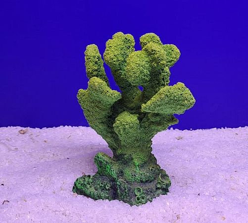 Кр-717 Коралл, Зелено-Желтый 10х6х14 см