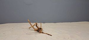 Коряга Сакура мини, до&nbsp;10&nbsp;см