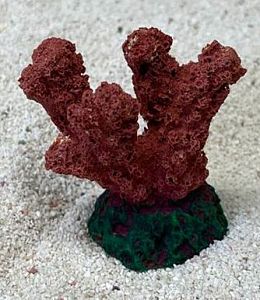 Цветной коралл красный Коралл рога, 5,5*3,5*5 см