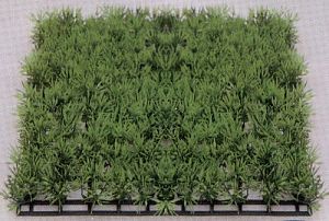 Коврик VITALITY пластик, зеленый, 12,5×25 см, (83007−12.5)