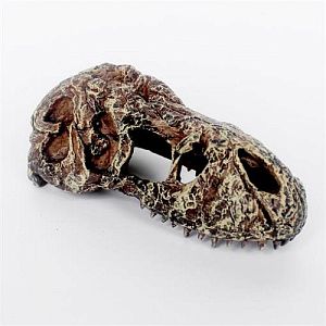 Декорация Nomoy Pet «Череп тираннозавра», 14х7×6 см