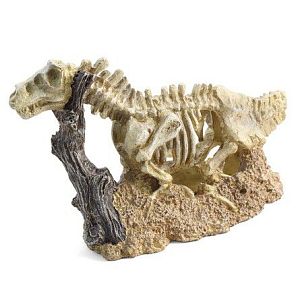 Грот Laguna «Скелет динозавра», 235х85×145 мм