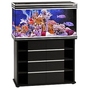 Аквариум Псевдоморе с тумбой STELLEX AQUA 200, 200 л, 101×41×136 см