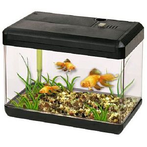 Aquael LEDDY TUBE PIRATE аквариум пластиковый с копилкой, черный, 15 л