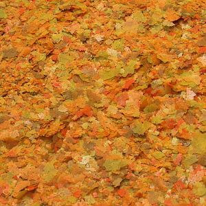 Основной корм JBL NovoColor для яркой окраски пресноводных рыб, хлопья 250&nbsp;мл