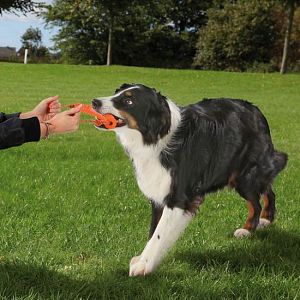 Игрушка TRIXIE «Long-Mot» для собак, 20 см