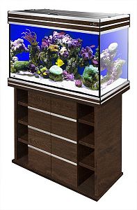 Морской аквариум с тумбой STELLEX AQUA 135, 135 л, 81х38×132 см