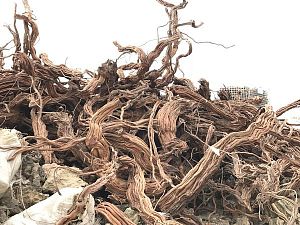 PRIME Коряга Чечил XS&nbsp;50&minus;80см