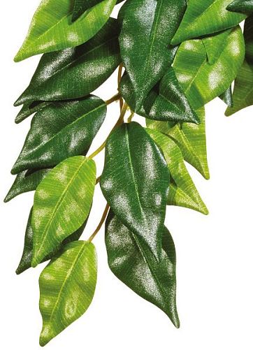Тропическое растение Exo Terra Jungle Plants Фикус пластиковое, малое 45х20см